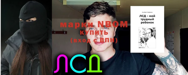 СК Алексин