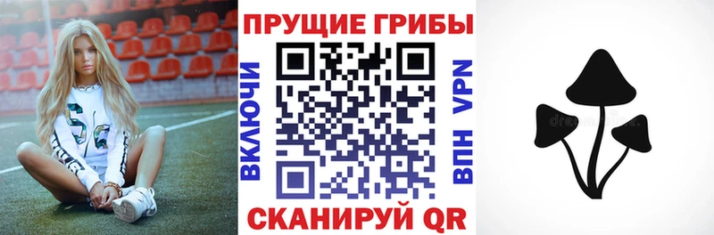 shop телеграм  Темрюк  Псилоцибиновые грибы MAGIC MUSHROOMS  наркошоп 